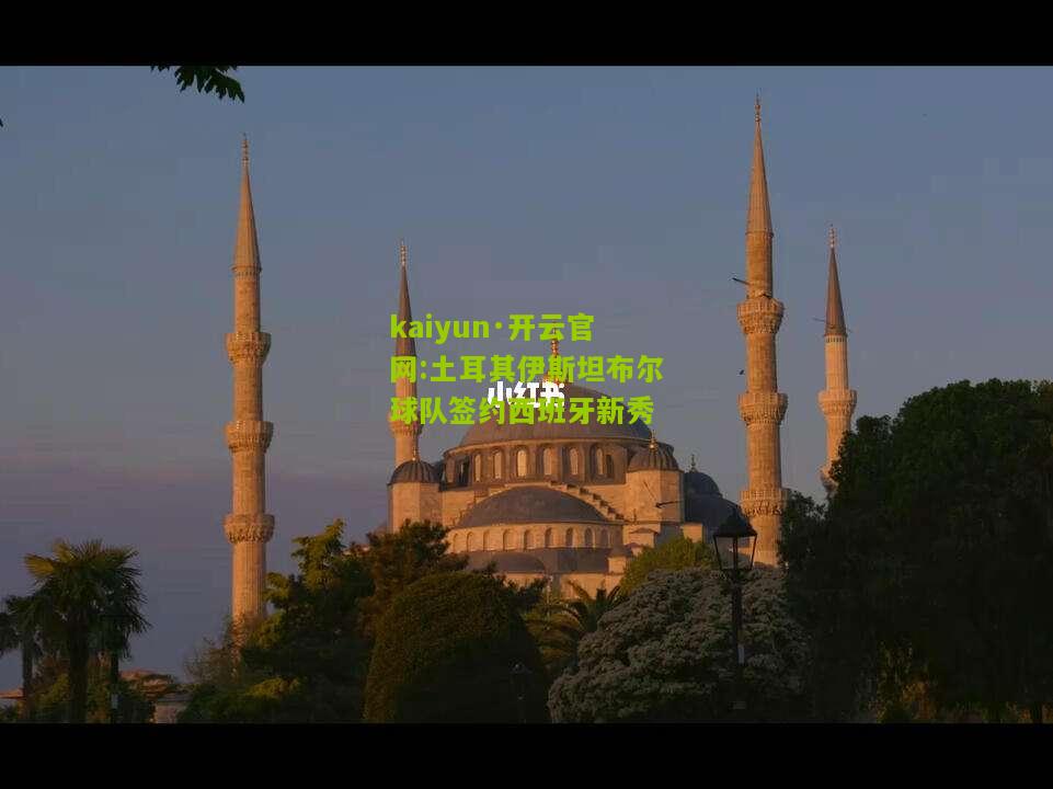 kaiyun·开云官网:土耳其伊斯坦布尔球队签约西班牙新秀