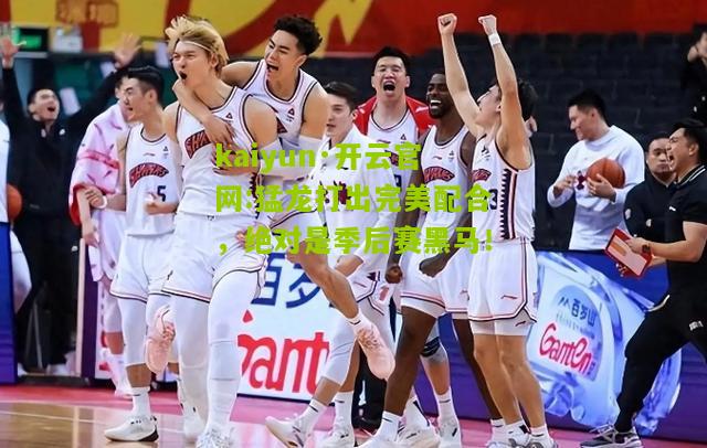 kaiyun·开云官网:猛龙打出完美配合，绝对是季后赛黑马！