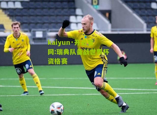kaiyun·开云官网:瑞典队备战世界杯资格赛