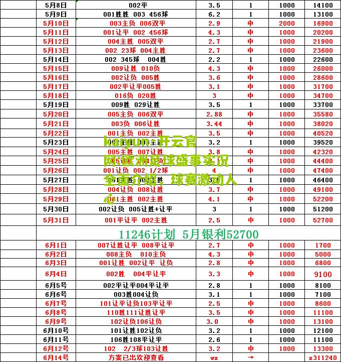 kaiyun·开云官网:欧洲足球盛事实况全面介绍，球赛激动人心