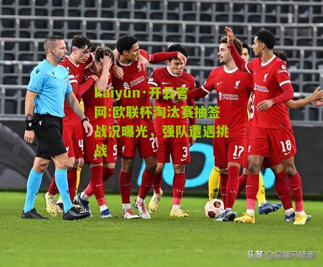kaiyun·开云官网:欧联杯淘汰赛抽签战况曝光，强队遭遇挑战