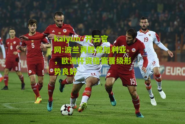 kaiyun·开云官网:波兰再胜保加利亚，欧洲杯资格赛晋级形势良好