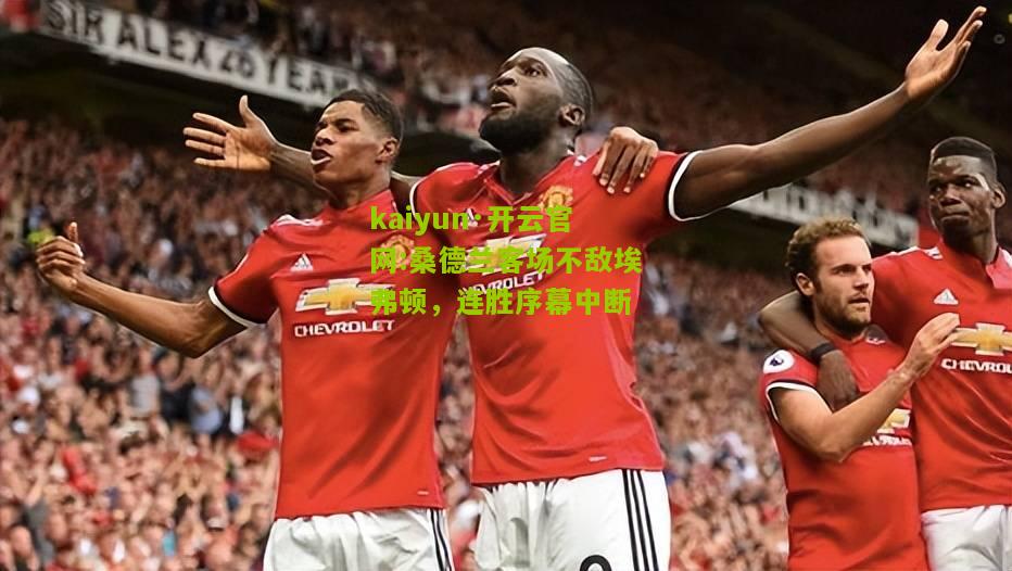 kaiyun·开云官网:桑德兰客场不敌埃弗顿，连胜序幕中断