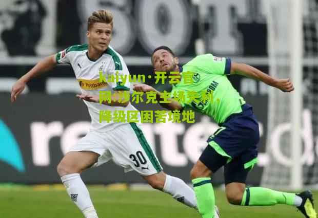kaiyun·开云官网:沙尔克主场失利，降级区困苦境地