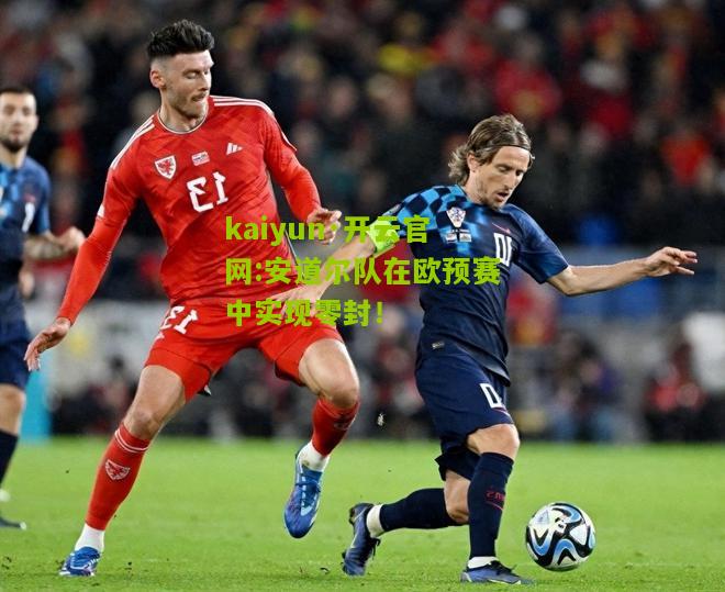 kaiyun·开云官网:安道尔队在欧预赛中实现零封！