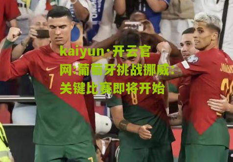 kaiyun·开云官网:葡萄牙挑战挪威：关键比赛即将开始