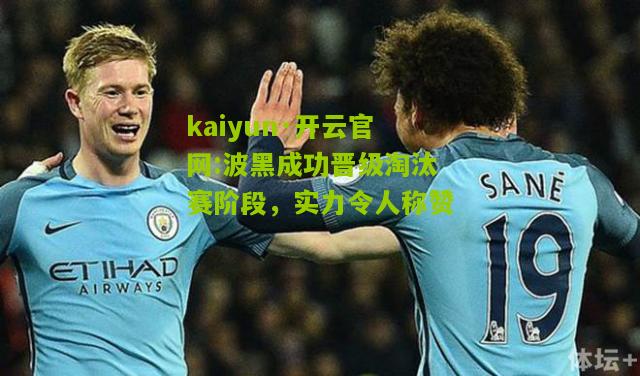 kaiyun·开云官网:波黑成功晋级淘汰赛阶段，实力令人称赞