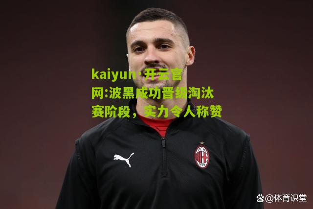 kaiyun·开云官网:波黑成功晋级淘汰赛阶段，实力令人称赞