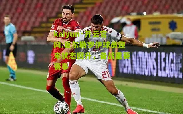 kaiyun·开云官网:夏尔勒罗伊球员迎来状态回升，备战重要赛事