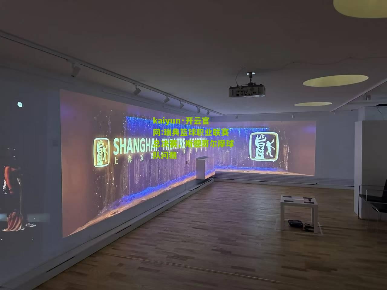 kaiyun·开云官网:瑞典篮球职业联赛总决赛，斯德哥尔摩球队问鼎