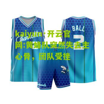 kaiyun·开云官网:黄蜂队突然失去主心骨，团队受挫